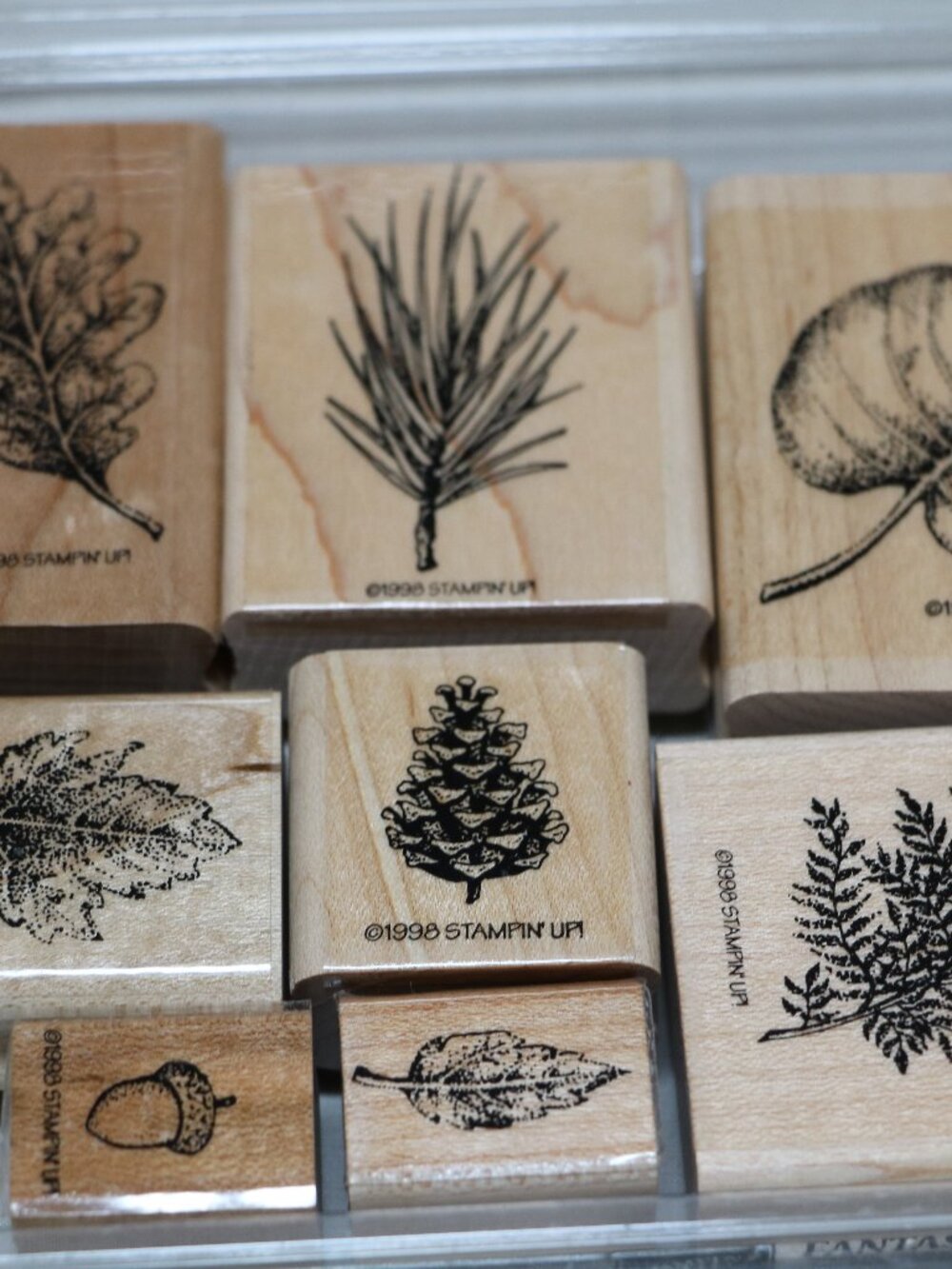 Stampin Up Fantastic Foilage 8 piece wood stamp set
